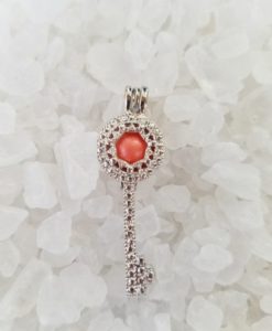 Cage - Silver Plated Fashion Key